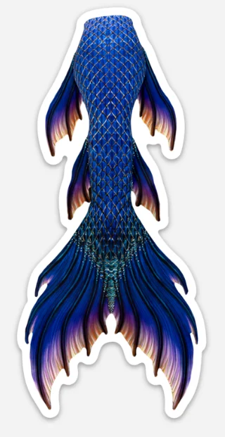 Saphira Signature Tail Sticker